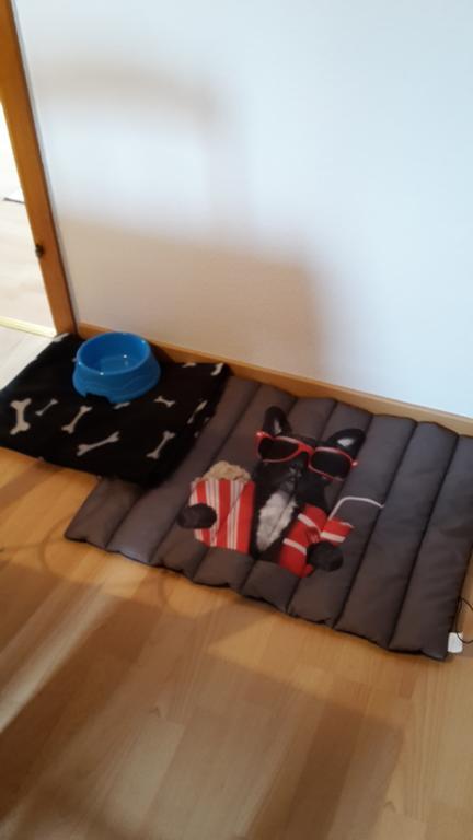 Apartment Lulu Aurich Eksteriør bilde